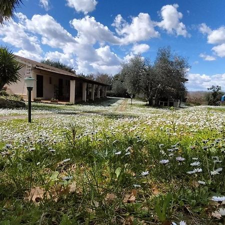 Agriturismo Bio Pian Dei Casali Saturnia Buitenkant foto