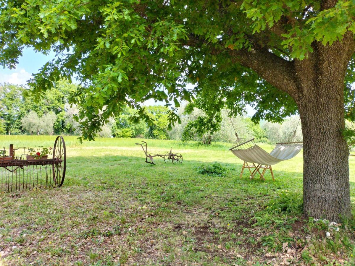 Agriturismo Bio Pian Dei Casali Saturnia Buitenkant foto