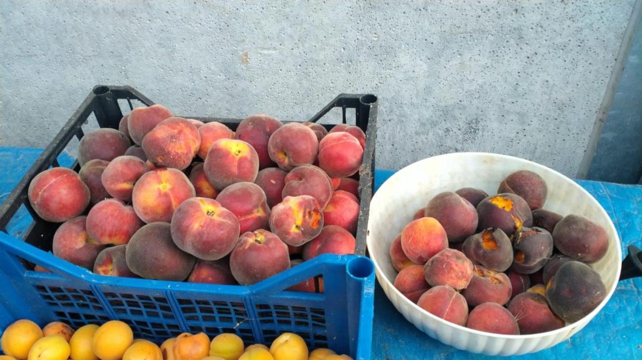 Agriturismo Bio Pian Dei Casali Saturnia Buitenkant foto