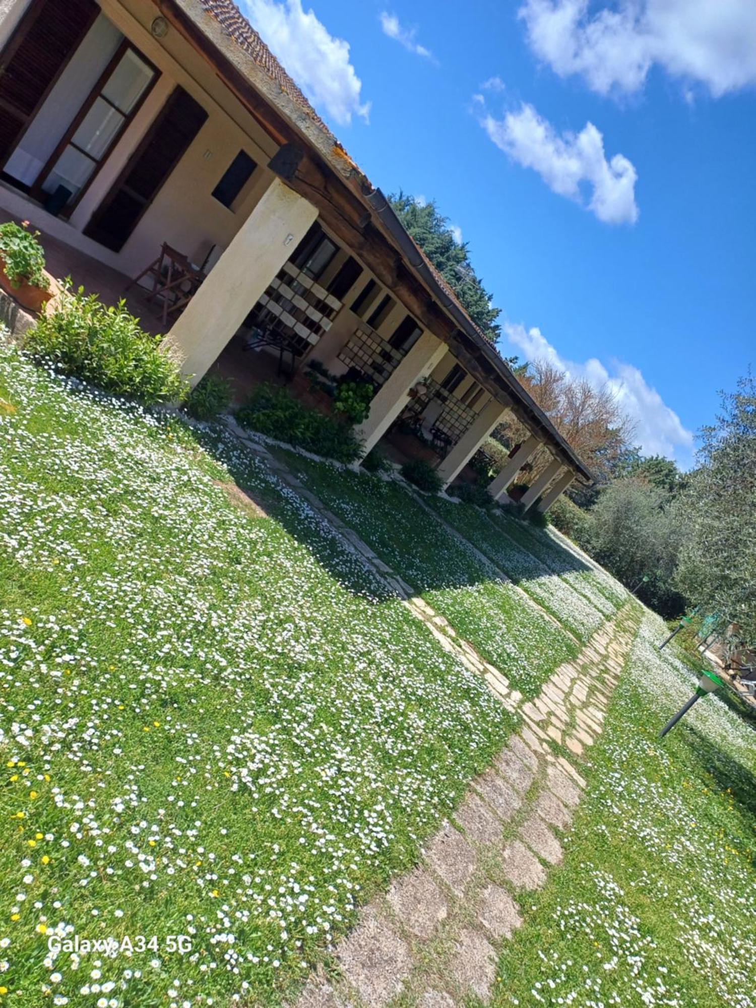 Agriturismo Bio Pian Dei Casali Saturnia Buitenkant foto