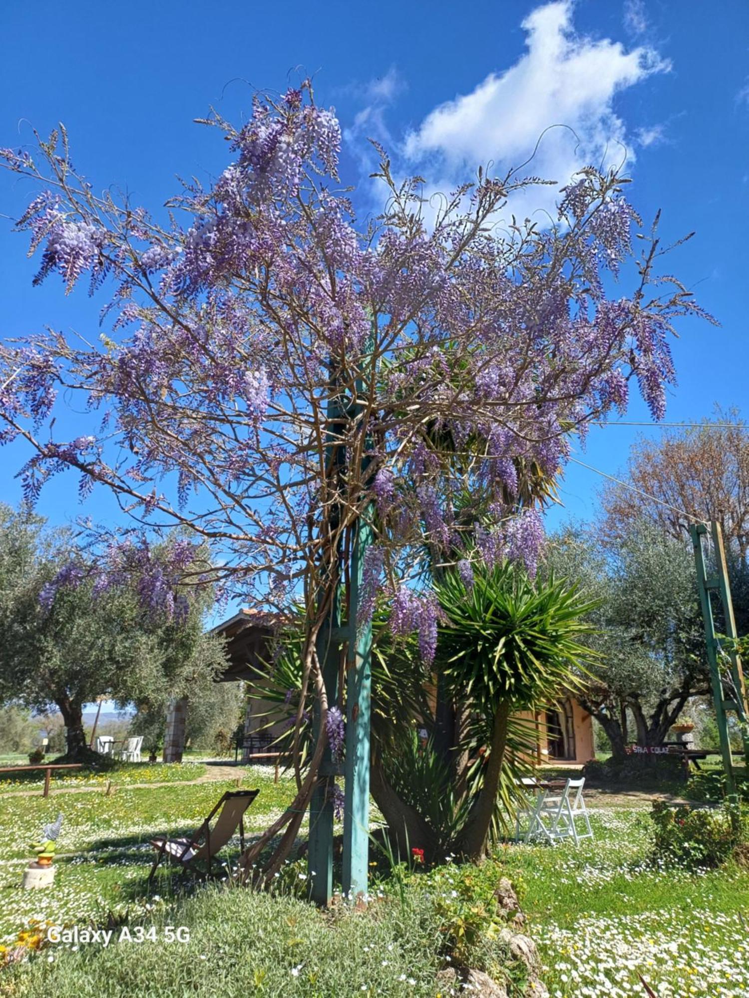 Agriturismo Bio Pian Dei Casali Saturnia Buitenkant foto
