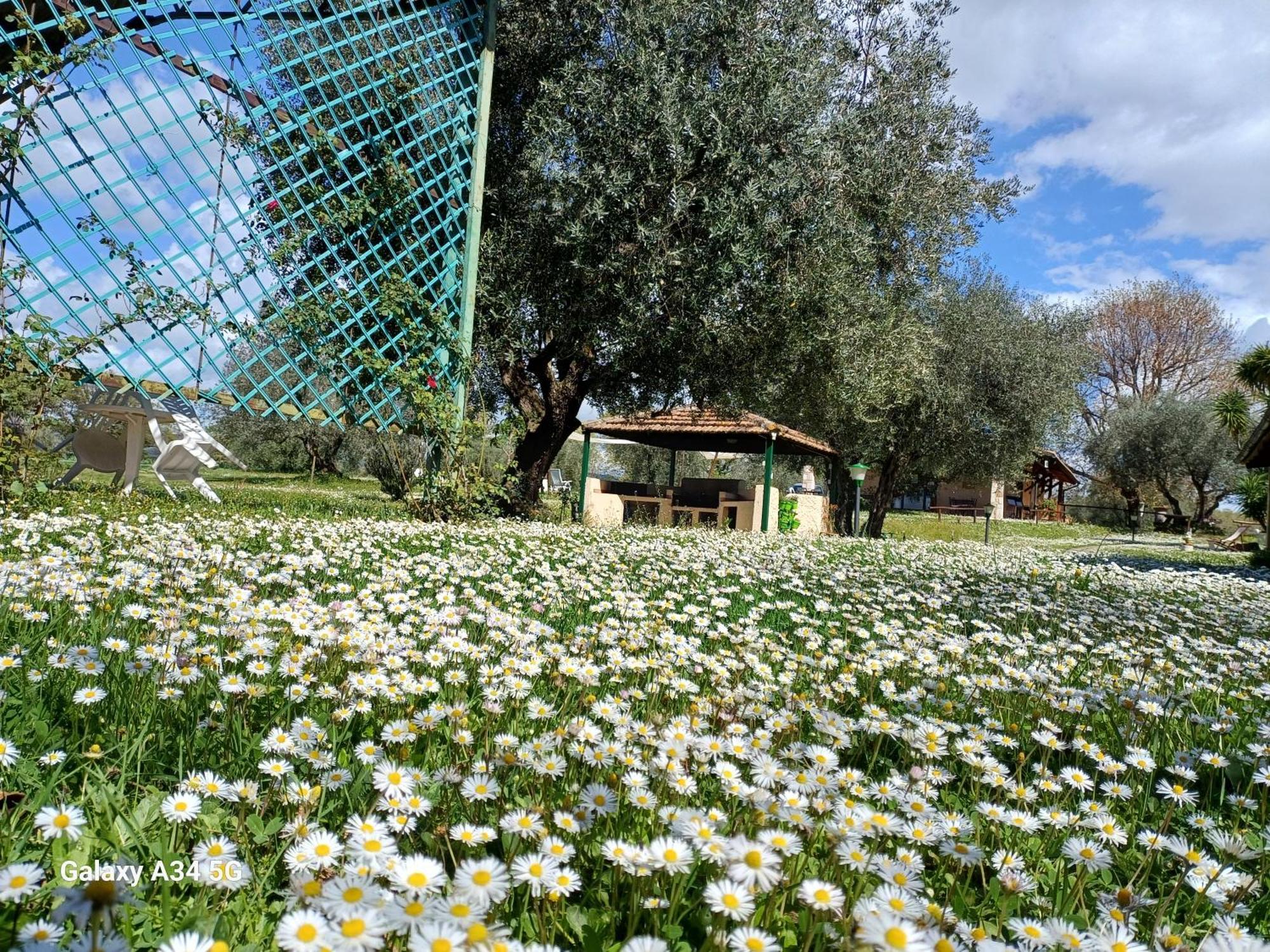 Agriturismo Bio Pian Dei Casali Saturnia Buitenkant foto