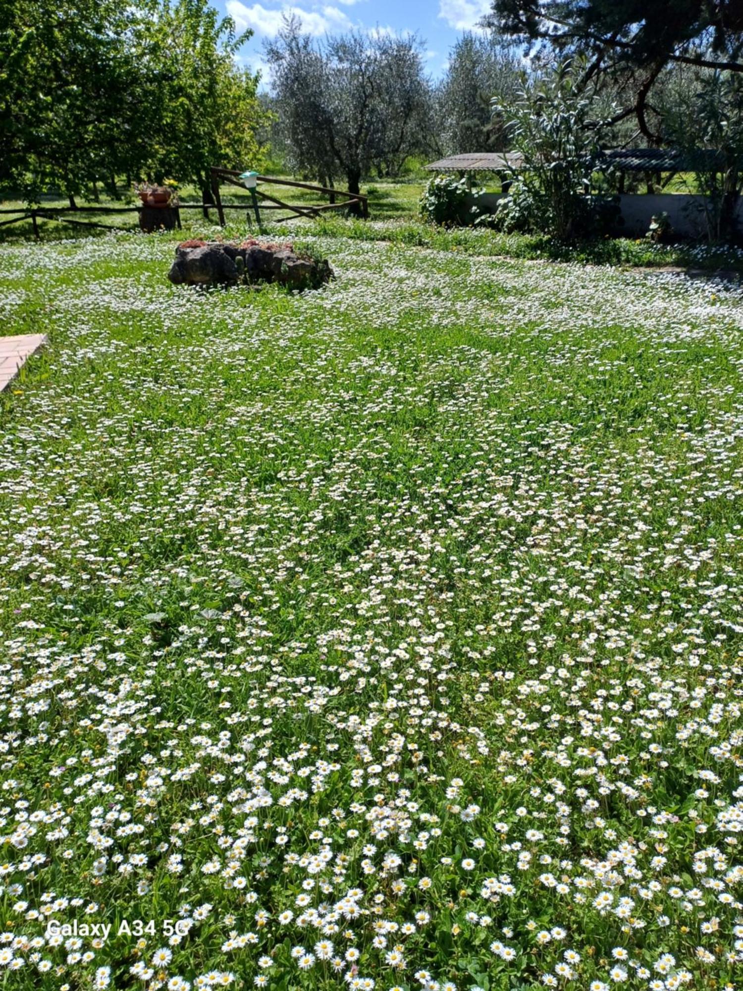 Agriturismo Bio Pian Dei Casali Saturnia Buitenkant foto