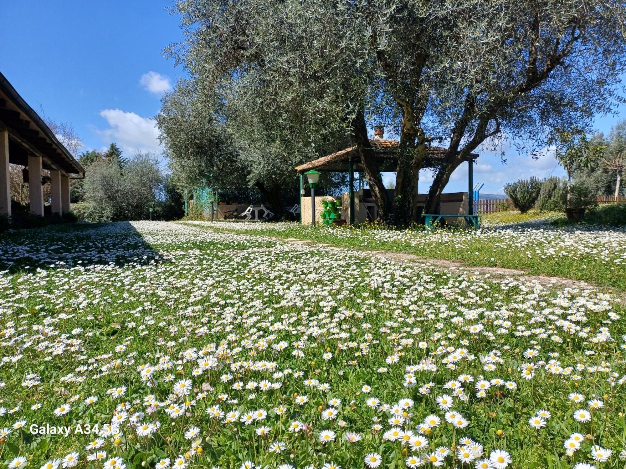 Agriturismo Bio Pian Dei Casali Saturnia Buitenkant foto