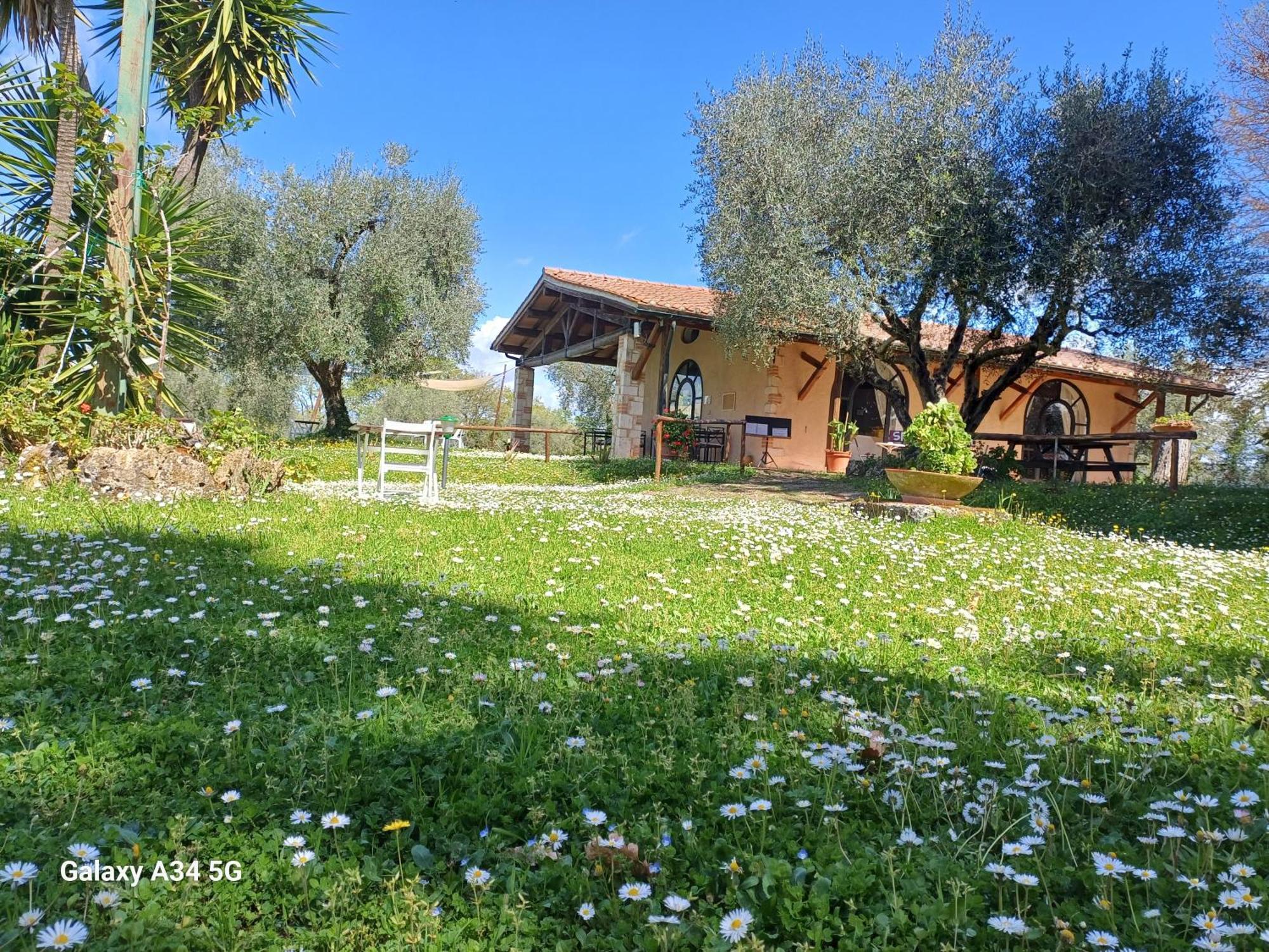 Agriturismo Bio Pian Dei Casali Saturnia Buitenkant foto