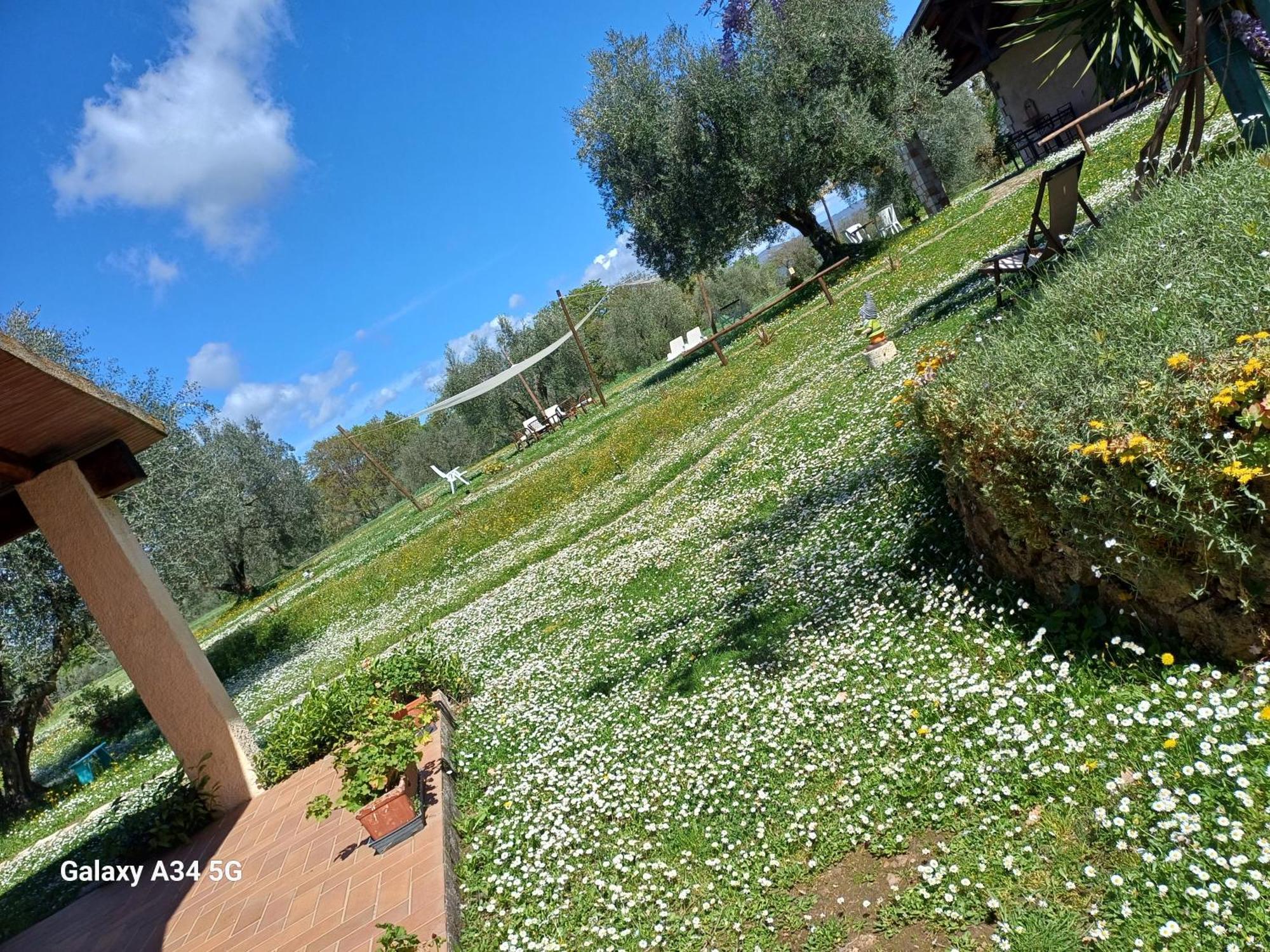Agriturismo Bio Pian Dei Casali Saturnia Buitenkant foto