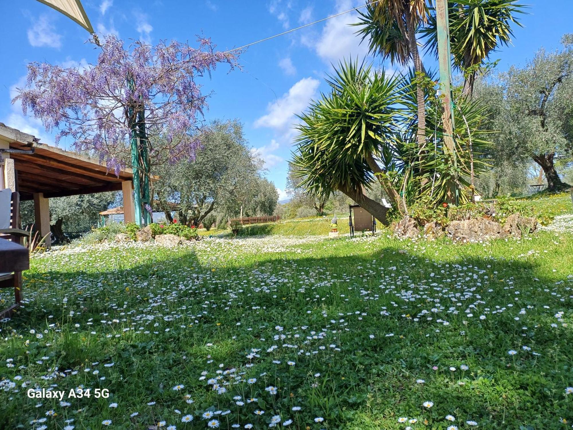 Agriturismo Bio Pian Dei Casali Saturnia Buitenkant foto