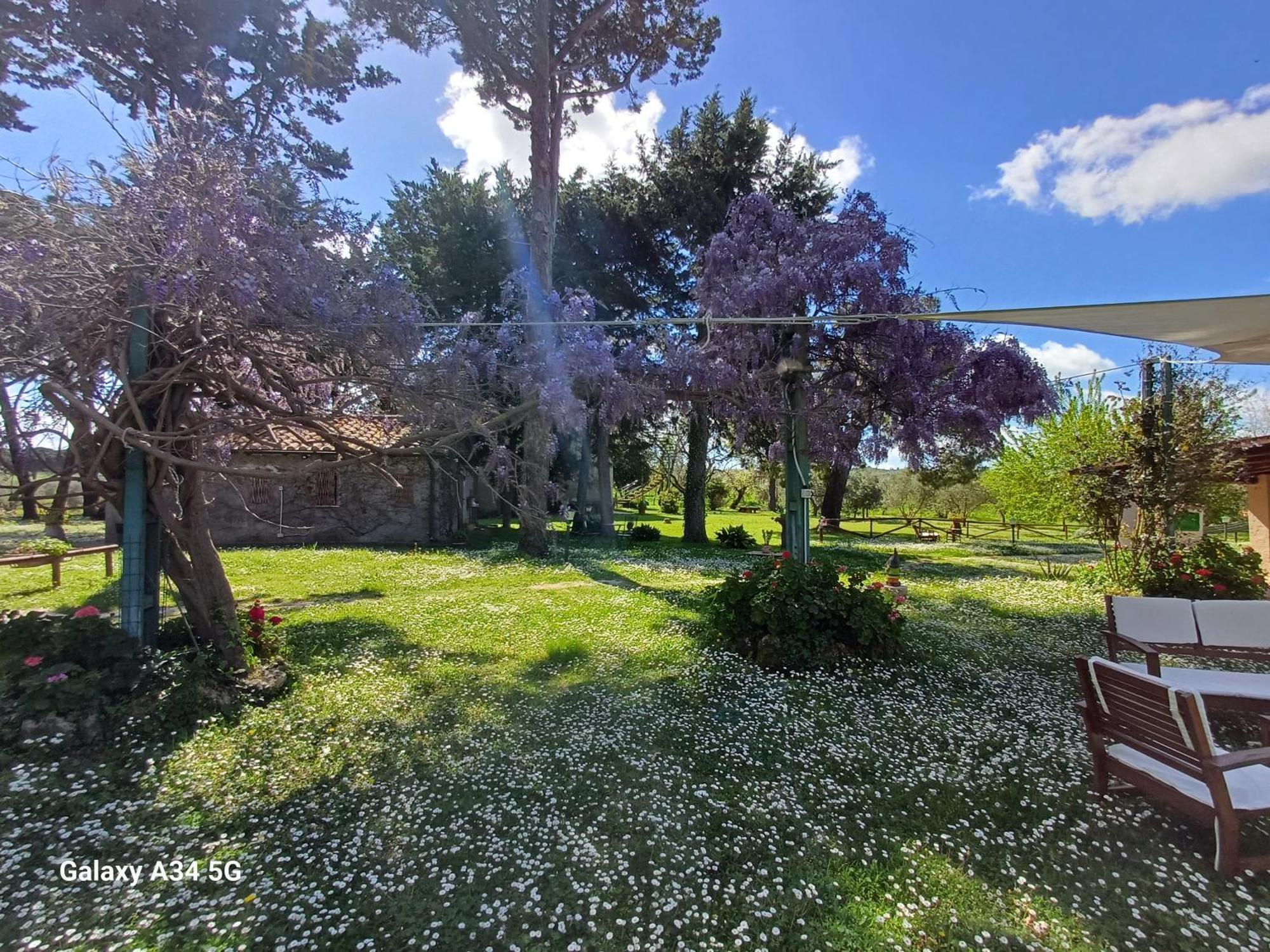 Agriturismo Bio Pian Dei Casali Saturnia Buitenkant foto