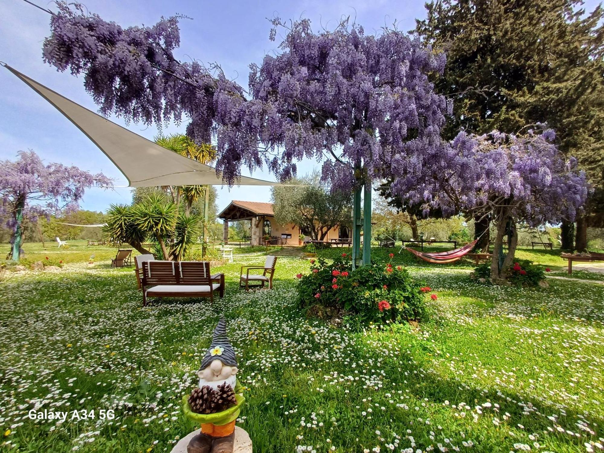 Agriturismo Bio Pian Dei Casali Saturnia Buitenkant foto